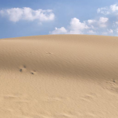 모래사막 사진