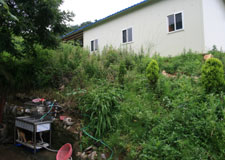 바다나라민박 이미지