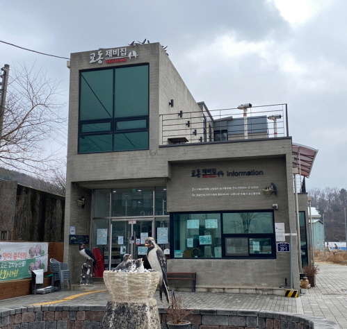 교동 제비집 이미지